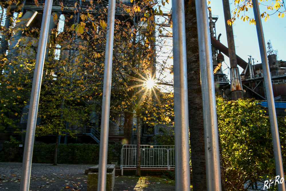 Sonnenstern im Industriepark
Schlüsselwörter: Landschaftspark Duisburg