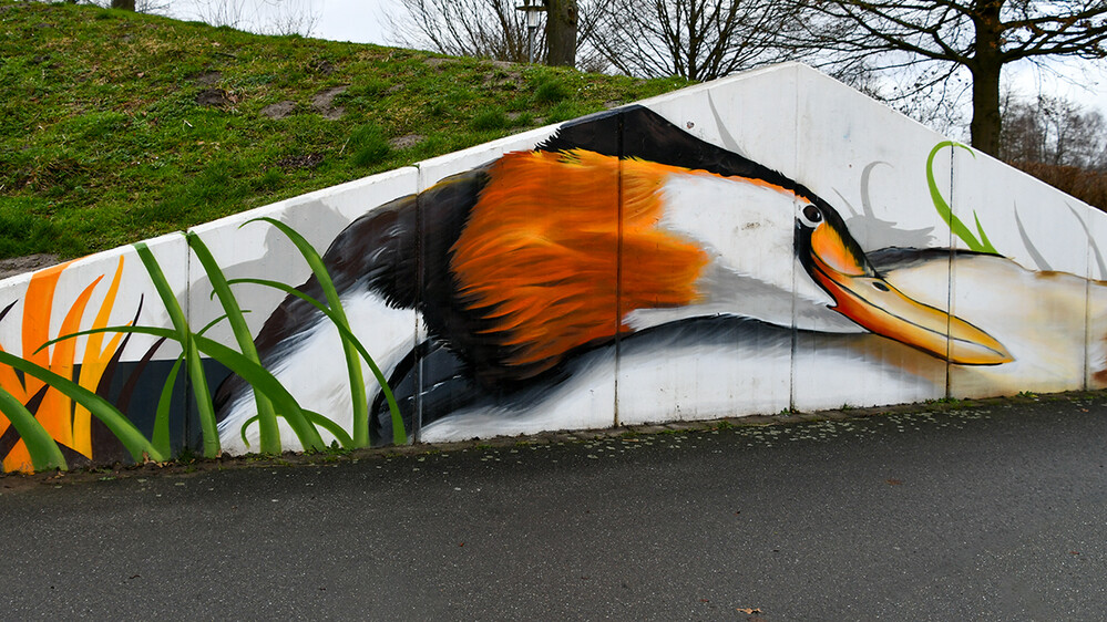 Februarfoto „Graffiti“
Roland
Schlüsselwörter: 2022