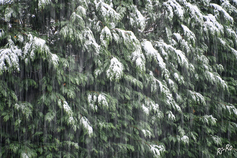 Wetter
ein gleichzeitiges Auftreten von Schnee u. Regen wird als Schneeregen bezeichnet. Hierbei spielt es keine Rolle, wie groß jeweils der Schnee- oder Regenanteil ist. Diese Art des Regens tritt überall dort auf, wo es zu Schneefällen kommen kann. (wetter.de)
