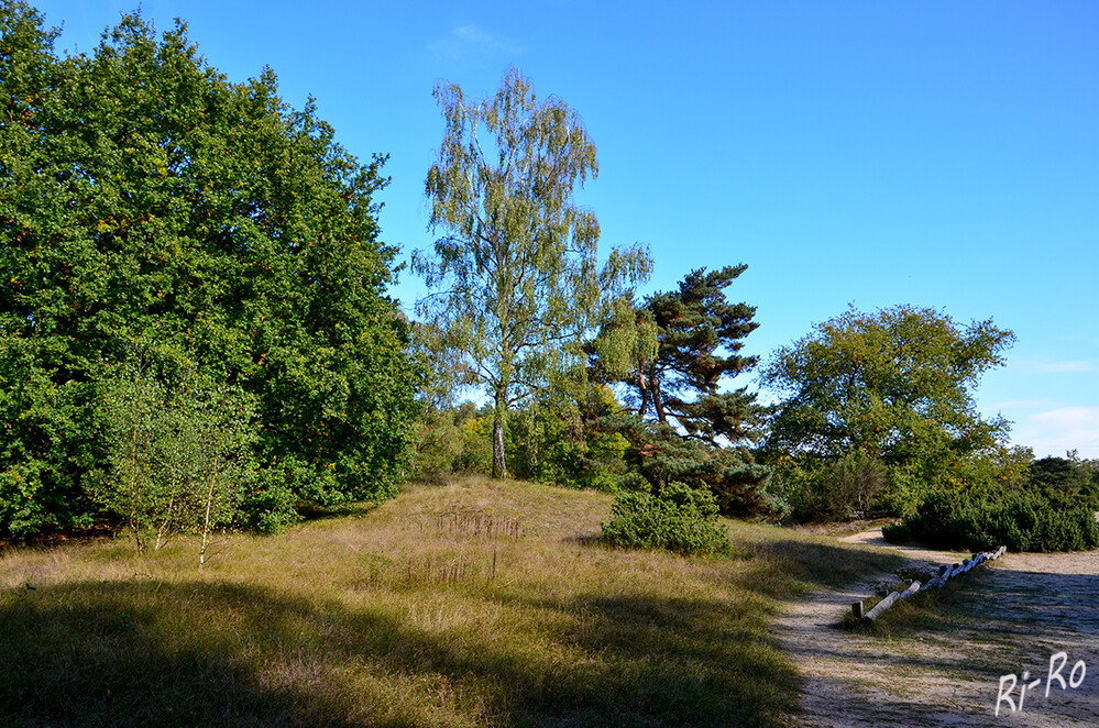 Heide
ist die Bezeichnung für einen Landschaftstyp u. benannte ursprünglich das vom Menschen unbebaute Land. Später auch eine schlechthin unfruchtbare, nicht urbar zu machende Landschaft. (wikipedia)

