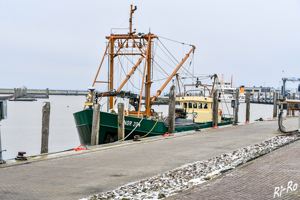 Fischfangboot
Andrea (NOR 204) Länge: 30,1 m, Breite: 6,0 mit Flagge: Deutschland. (fischereiverein)
Schlüsselwörter: 2024