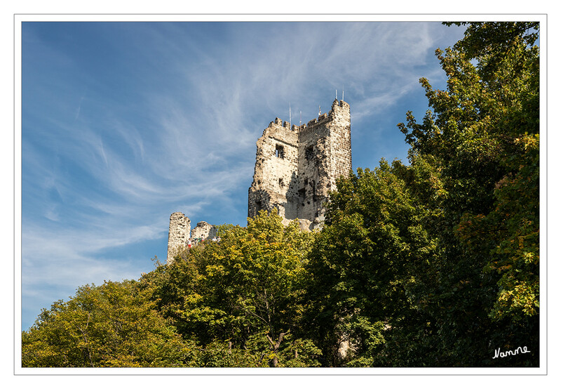 Burgruine Drachenfels
Die Burgruine Drachenfels im Siebengebirge ist der Rest einer Höhenburg auf 321 m ü. NN, die 1138 vom Kölner Erzbischof Arnold I. begonnen und 1149 von Gerhard von Are, dem Propst des Bonner St.-Cassius-Stiftes, gekauft und fertiggestellt wurde. Sie steht auf dem gleichnamigen Berg Drachenfels. laut Wikipedia
Schlüsselwörter: Königswinter; Drachenfels;