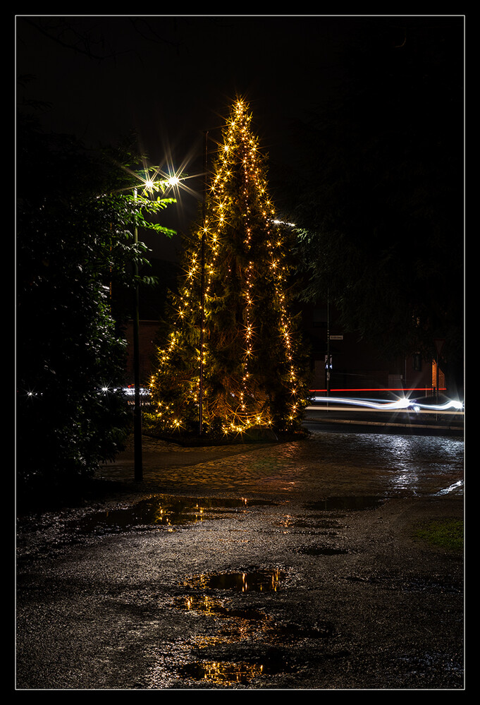 Dämmerungs,-Nachtaufnahme "Weihnachtsbaum"
Marianne
Schlüsselwörter: 2023