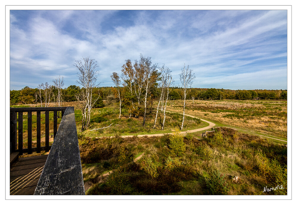 43 - Aussicht im Naturschutzgebiet De Meinweg
Schlüsselwörter: 2022