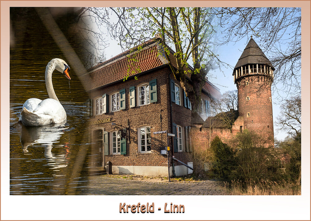 Ausflug nach Krefeld - LInn
Schlüsselwörter: 2022