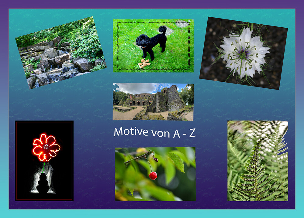 Motive von A - Z
Schlüsselwörter: 2024