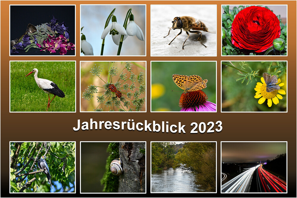 Jahresrückblick 2023
