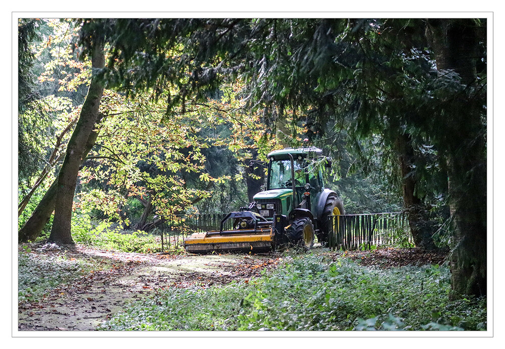 42 - Der Wald wird gefegt
2023
