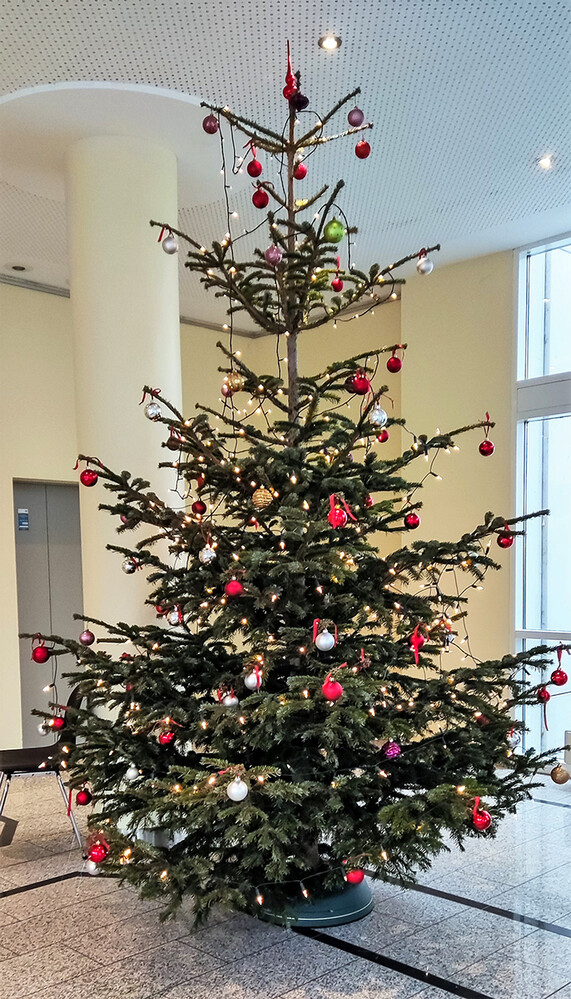 Dezemberfoto "Tannenbaum"
Norbert
Schlüsselwörter: 2021