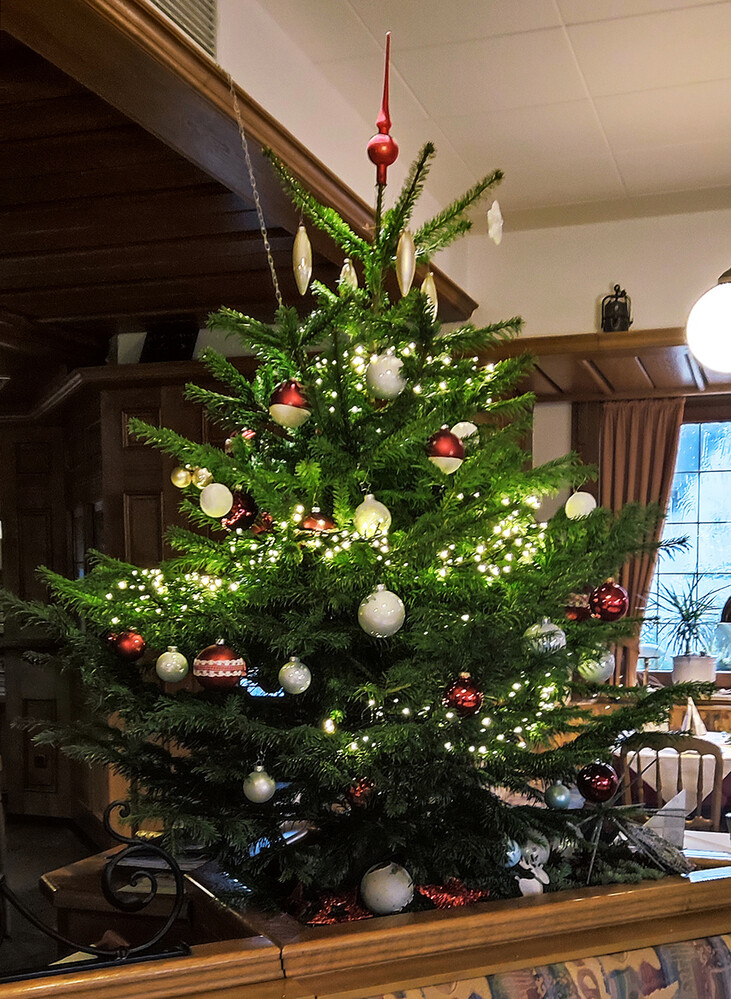 Dezemberfoto "Tannenbaum"
Norbert
Schlüsselwörter: 2021