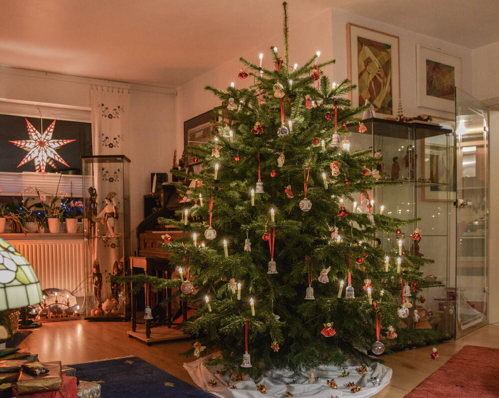 Dezemberfoto "Weihnachtsbaum"
Verena
Schlüsselwörter: 2021