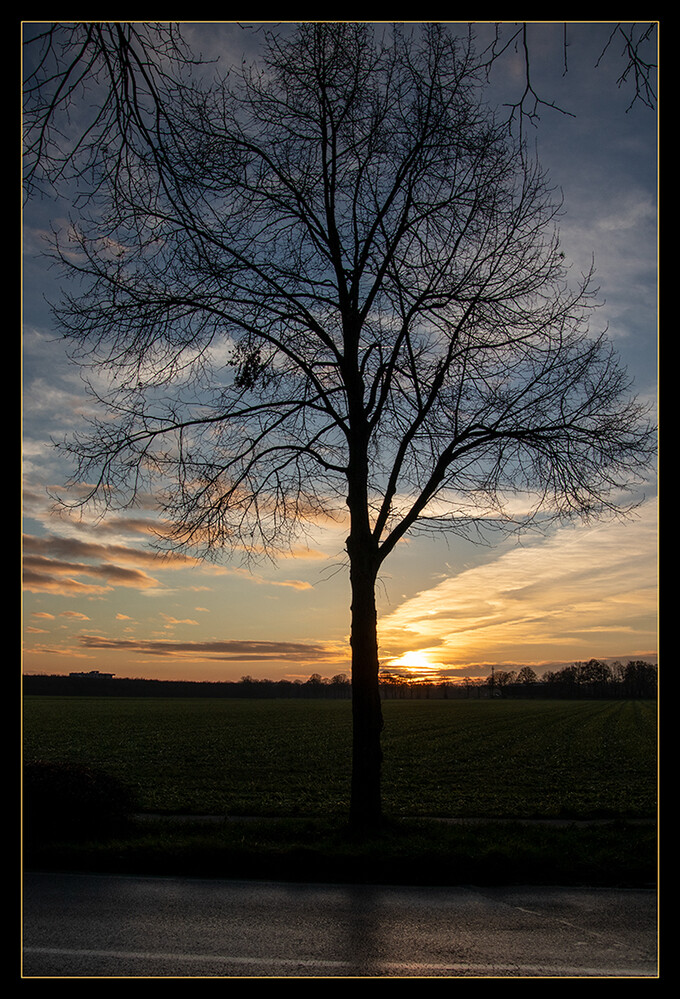 Dezemberfoto "Dezembermorgen"
Marianne
Schlüsselwörter: 2021