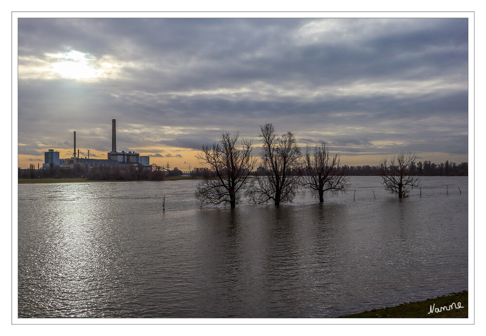 Angespannte Hochwasserlage
Blick auf den Rhein und dem Heizkraftwerk Lausward
Schlüsselwörter: Düsseldorf;