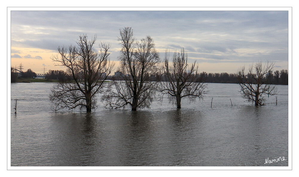 Angespannte Hochwasserlage
Blick auf den Rhein
Schlüsselwörter: Düsseldorf;