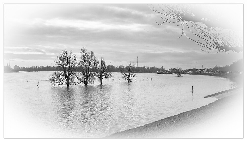 Angespannte Hochwasserlage
Mein Probe s/w Foto
