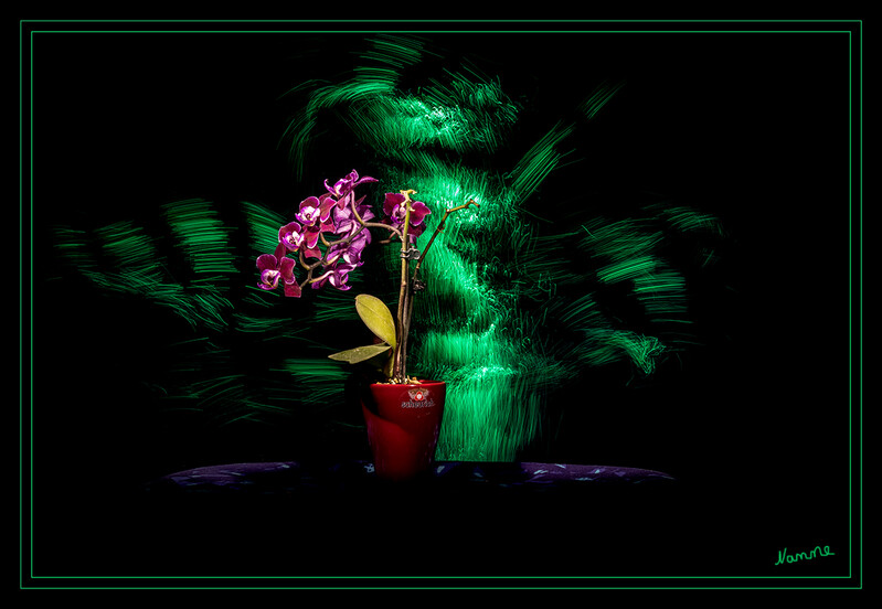 Miniorchidee
Schlüsselwörter: Lichtmalerei; Lightpainting; 2020