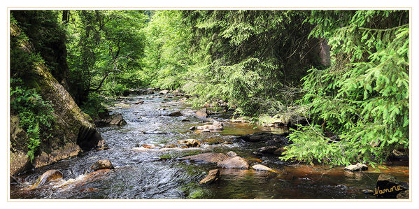 Bachlauf
Schlüsselwörter: Eifel, Bach