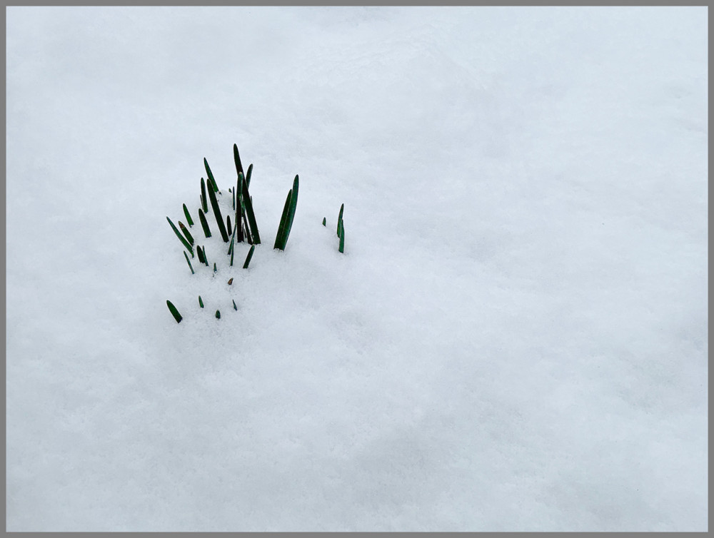 Minimalistisch "Das Leben geht weiter"
Elise
Schlüsselwörter: 2026