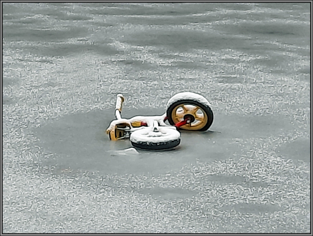 Minimalistisch "In Teich eingefroren"
Elise
Schlüsselwörter: 2026