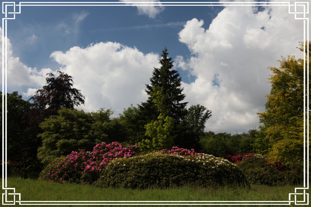 Schlosspark Heltorf - Parkdetail
Elise
Schlüsselwörter: 2026