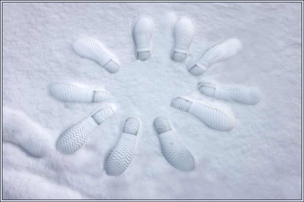 Minimalistisch "Spurenblume"
Elise
Schlüsselwörter: 2026