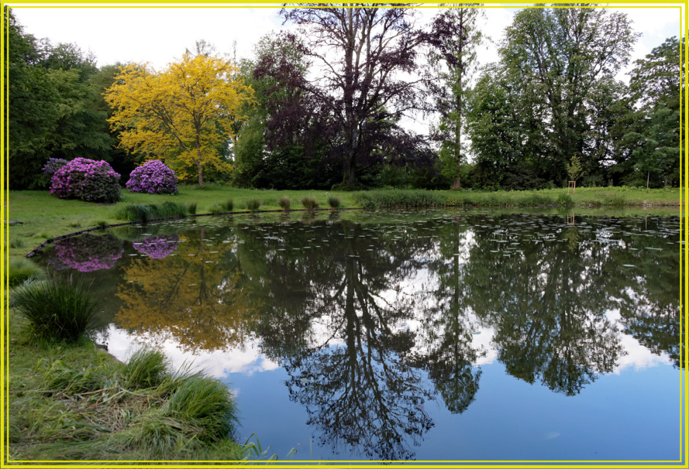Schlosspark Heltorf - Teich mit Spiegelung
Elise
Schlüsselwörter: 2026