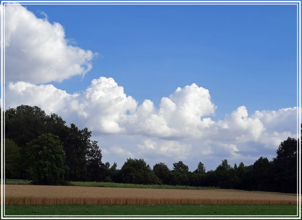 Am Himmel "Wolken über dem Feld"
Elise
Schlüsselwörter: 2025