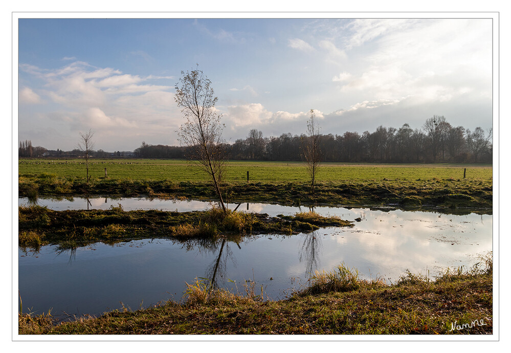 Spiegelung
Schlüsselwörter: Niers