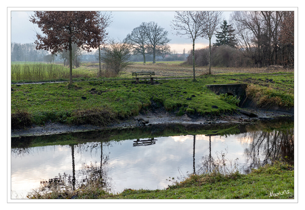 Spiegelung
Schlüsselwörter: Niers