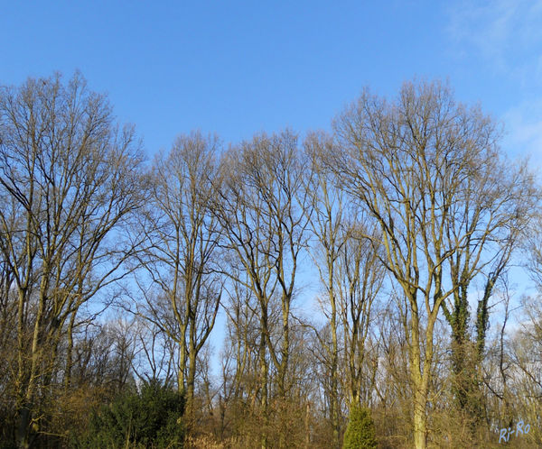 Endlich blauer Himmel
Schlüsselwörter: Landschaft