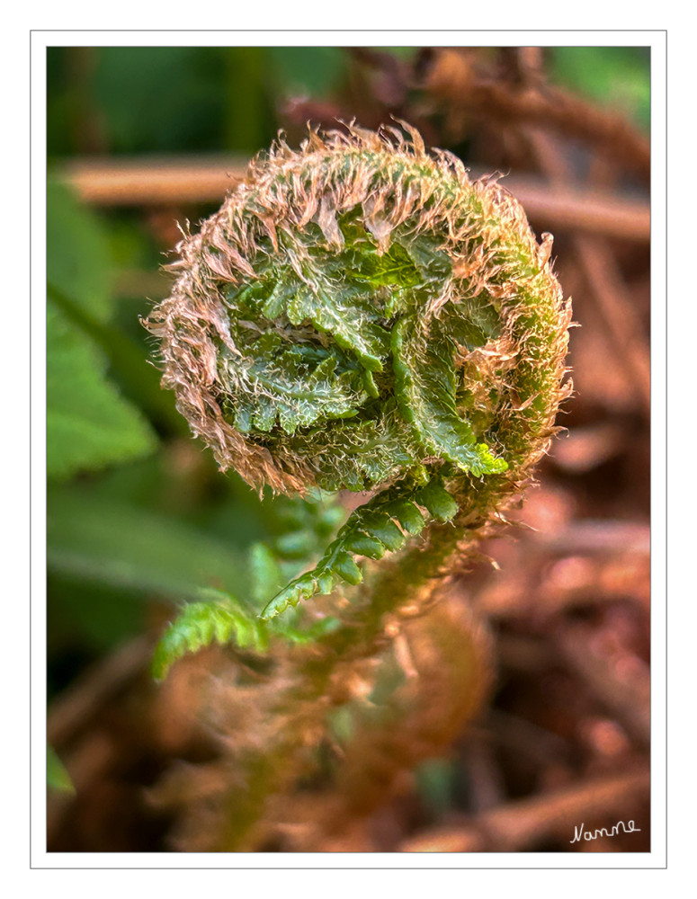Ich lege los
Schlüsselwörter: 2026