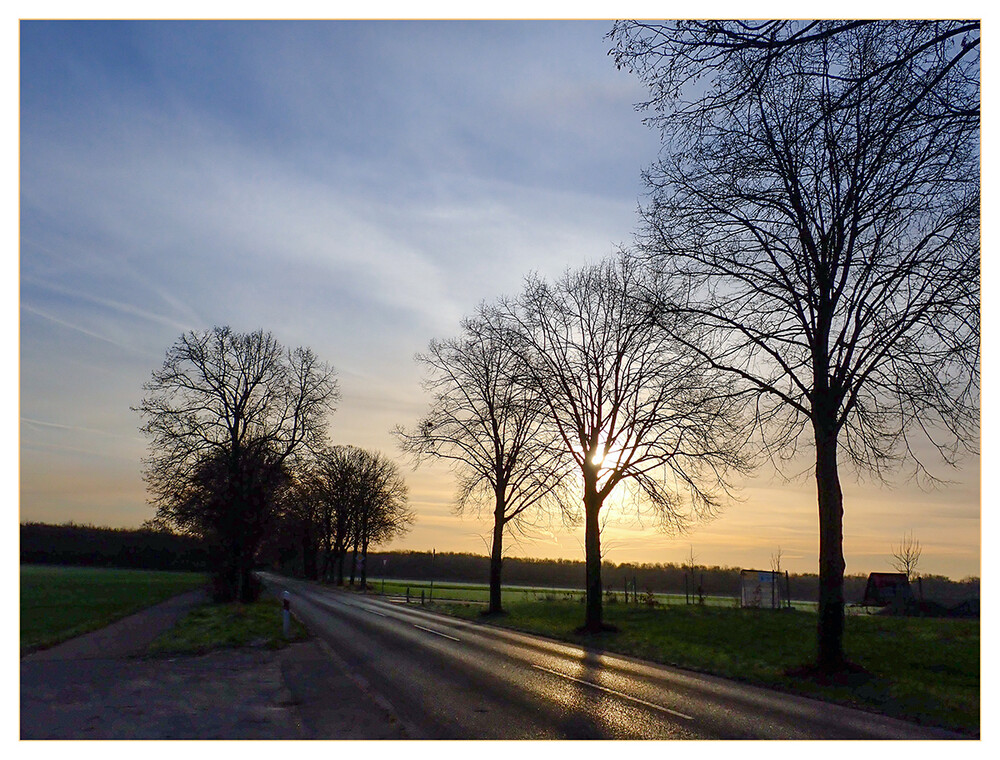 Februarfoto "Morgens, wenn die Sonne aufgeht"
Marianne
Schlüsselwörter: 2022