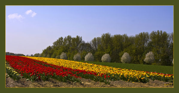 Farben des Frühlings
