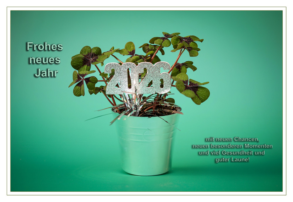 Frohes neues Jahr
Schlüsselwörter: 2026