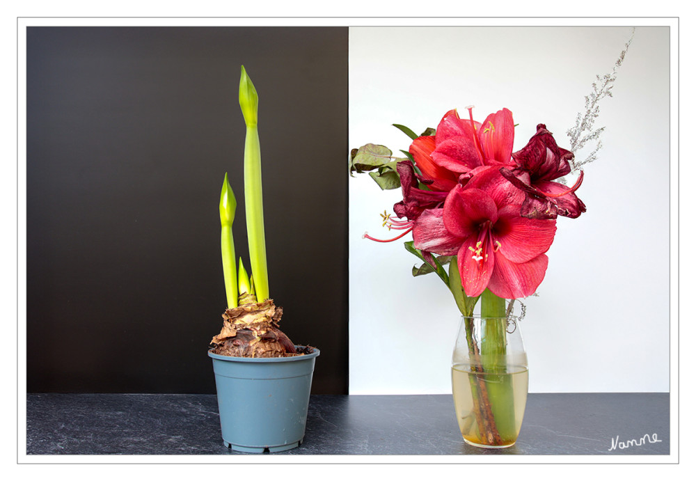 Gegensätze "Jung-Alt"
Schlüsselwörter: 2025