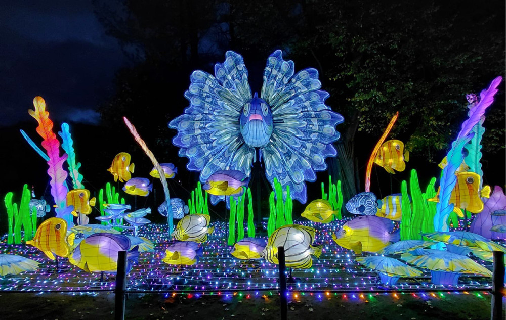 China Lights - Fische
Gerlinde
Schlüsselwörter: 2025