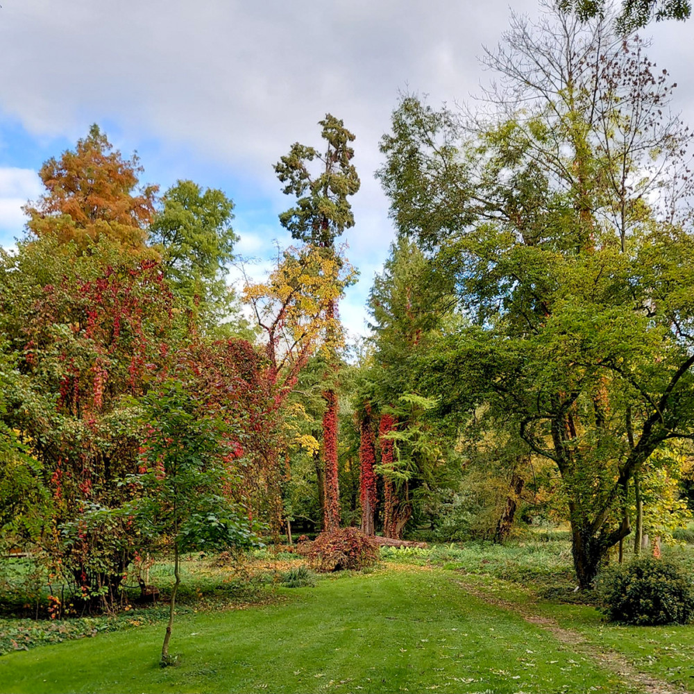 Schloss Paffendorf - Herbstfarben
Gerlinde
Schlüsselwörter: 2025