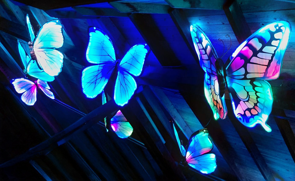 China Lights - Schmetterlinge
Gerlinde
Schlüsselwörter: 2025