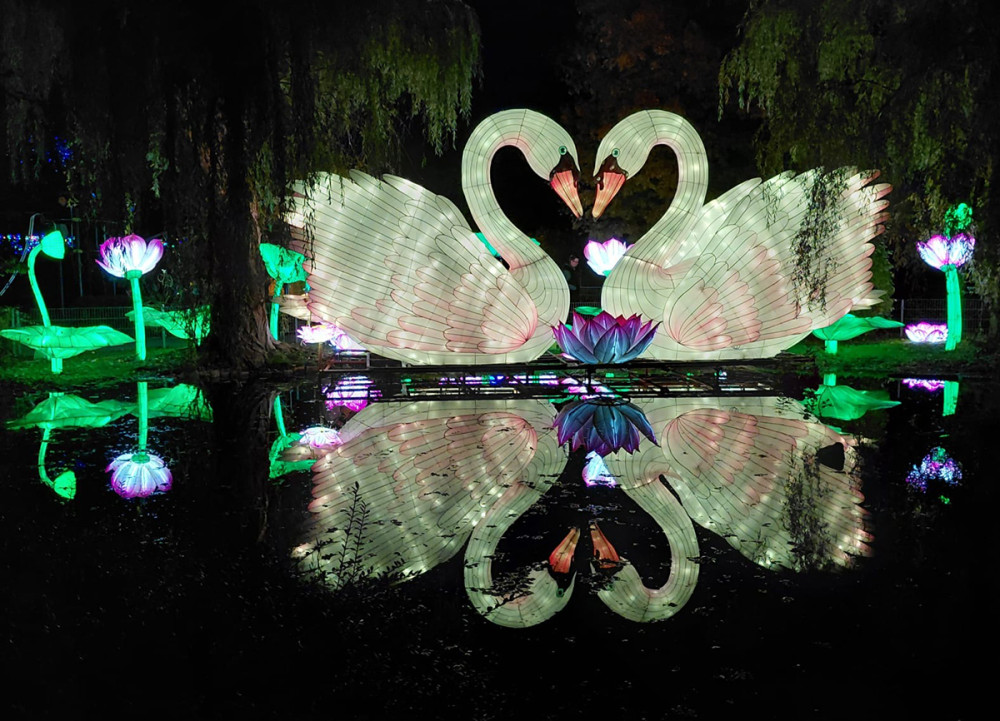 China Lights - Schwäne
Gerlinde
Schlüsselwörter: 2025