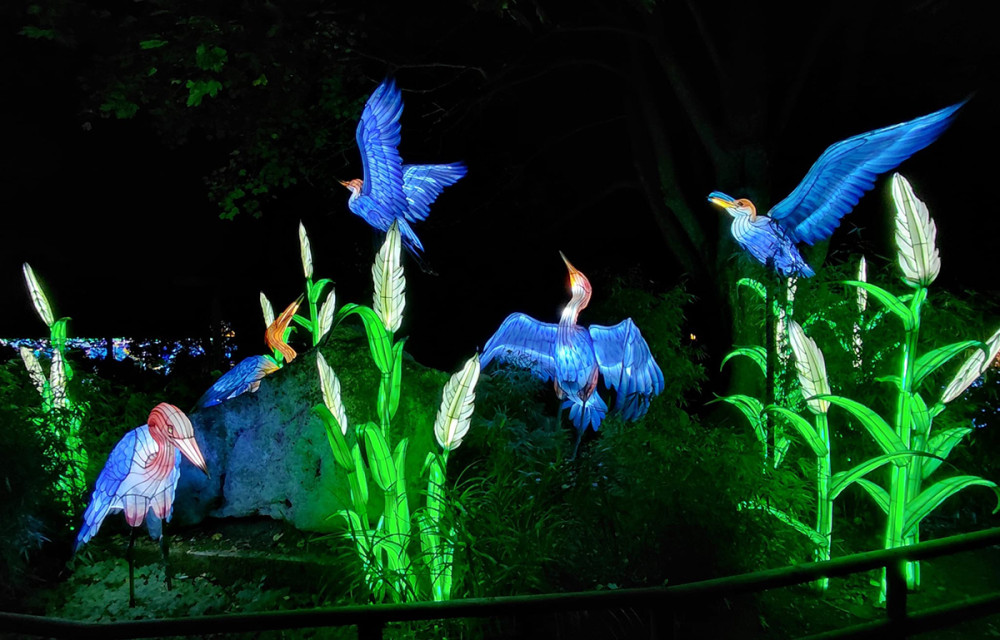 China Lights - Vögel
Gerlinde
Schlüsselwörter: 2025