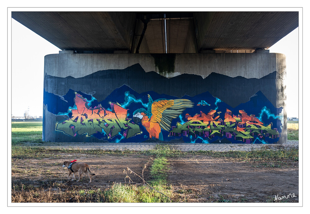 Am Rhein
Schönes, buntes Graffiti unter der Rheinbrücke
Schlüsselwörter: 2021
