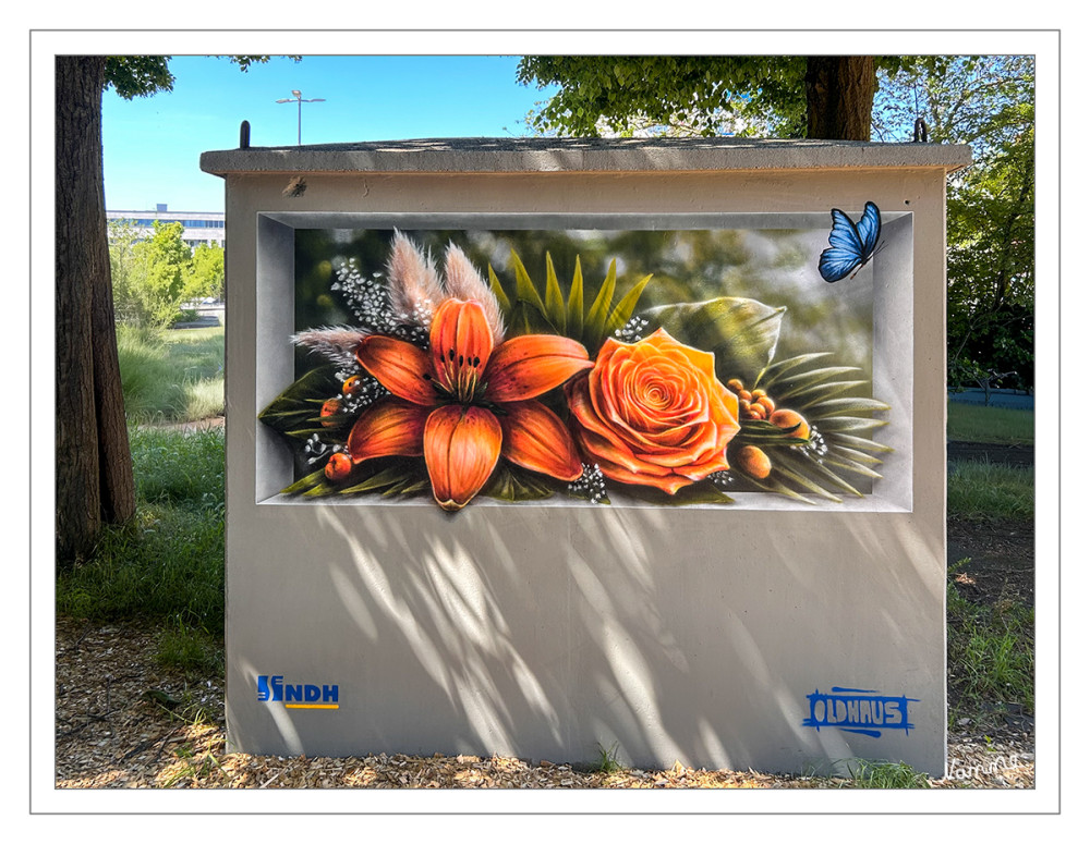 Blumengraffiti
Schlüsselwörter: 2026