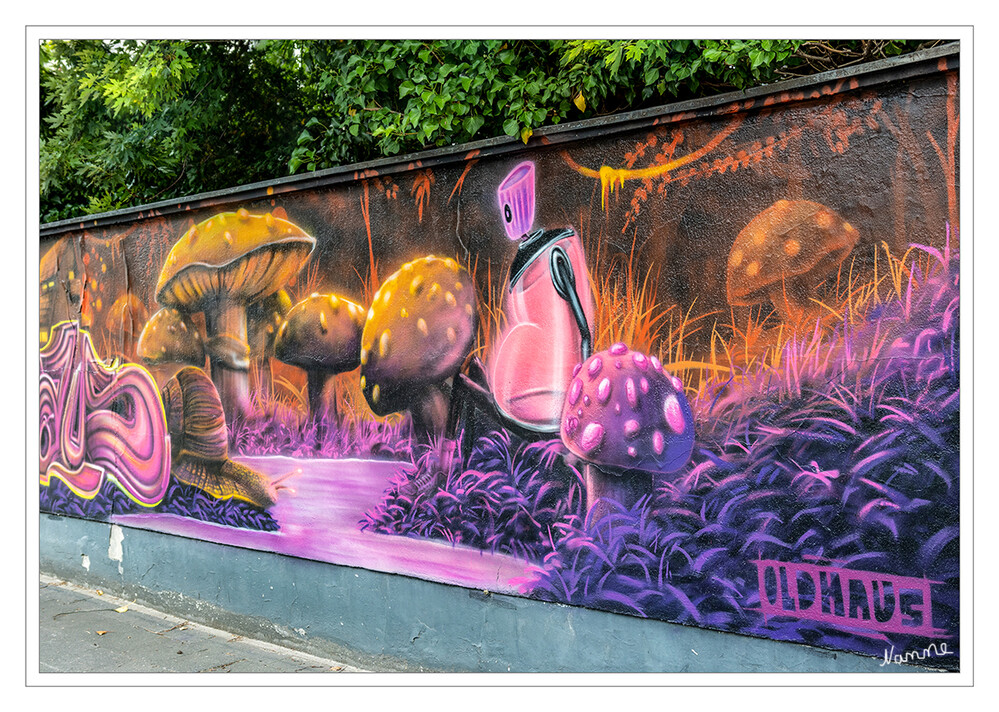 Pilzlandschaft
Graffiti in Neuss
Schlüsselwörter: Graffiti