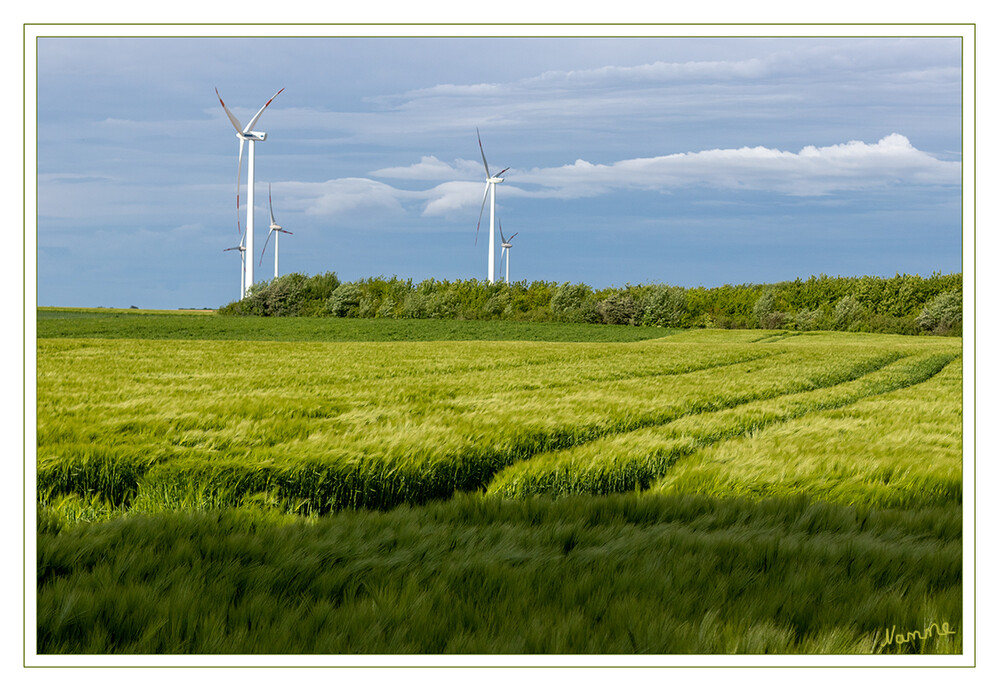 Grün, blau weiß
sind die Naturfarben die hier vorherrschen.
Schlüsselwörter: Windrad; Feld