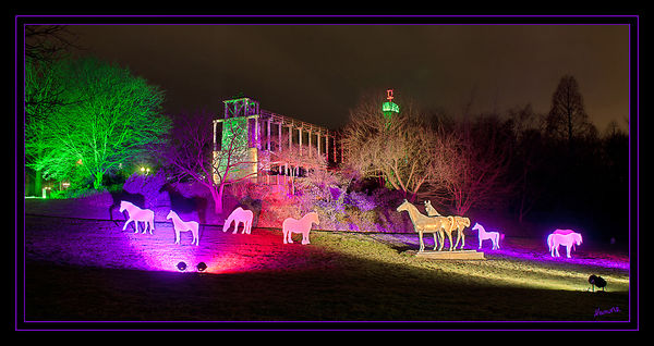 Der Grugapark zeigt sich wieder von seiner strahlendsten Seite: Vom 10. Februar bis zum 18. März leuchten allabendlich rund 20.000 Lämpchen, Lichter und Projektionen. In diesem Jahr installieren die Organisatoren Wolfgang Flammersfeld und Reinhard Hartleif (F & H Event Company, Unna) „Lichtinseln“ im Park. 
Schlüsselwörter: Gruga                Illumina                   Parkleuchten