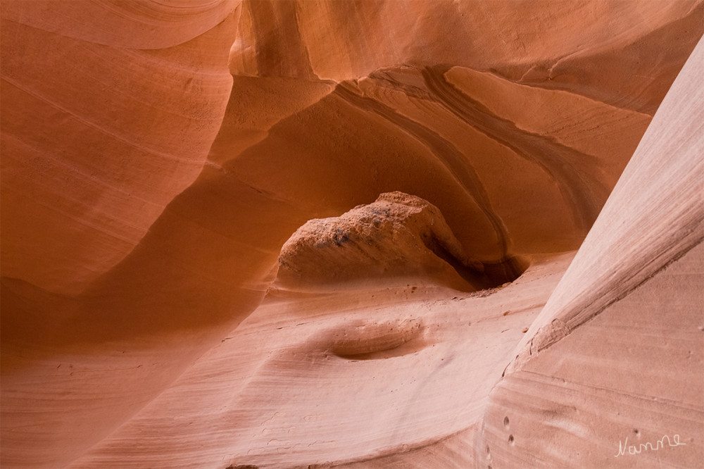 Antelope Canyon 
Arizona
Mit Fantasie erkennt man einen Elefanten 
Schlüsselwörter: 2025