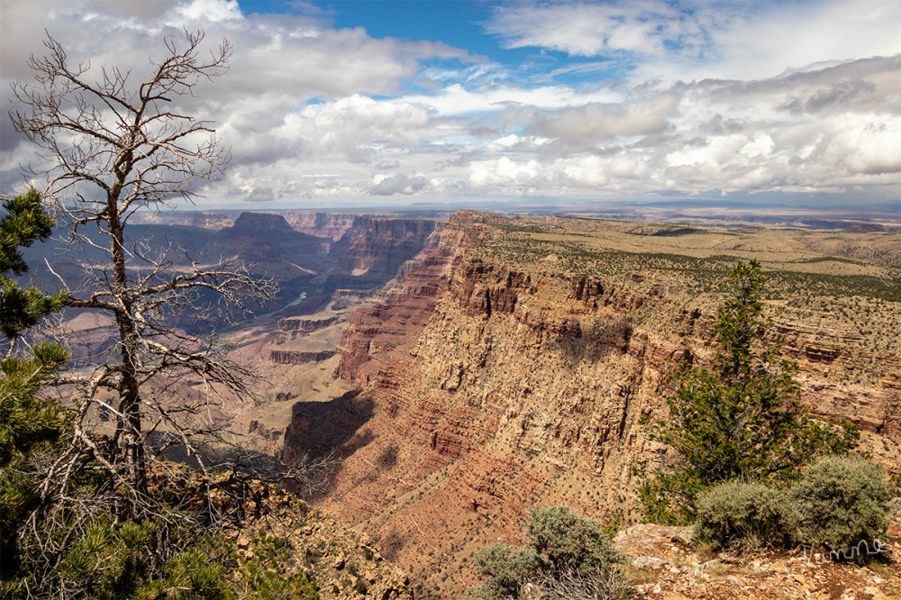 Grand Canyon vom Campground aus
Arizona 
Schlüsselwörter: 2025