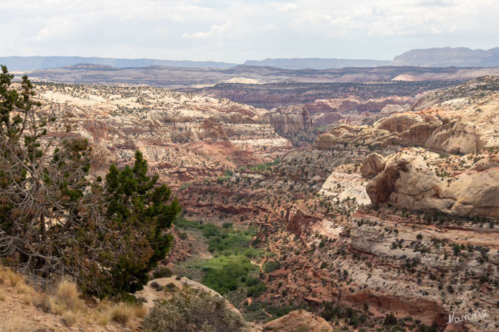 Staircase Escalante NM
Utah
Schlüsselwörter: 2025