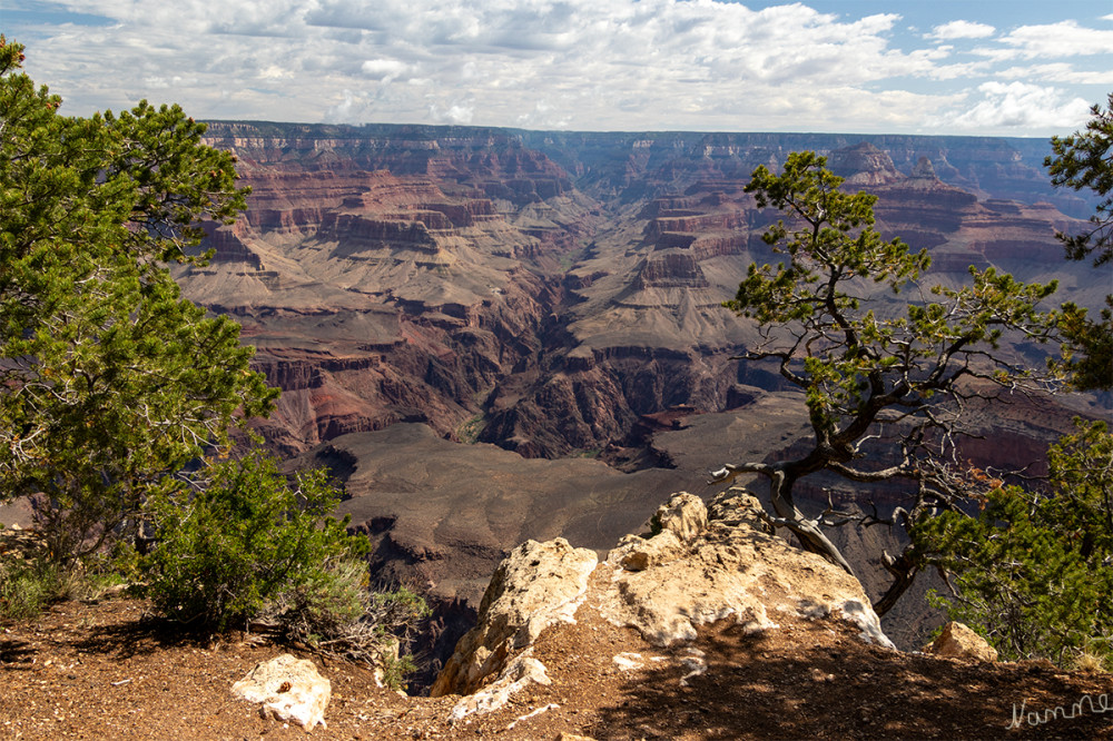 Grand Canyon NP 
Arizona
Schlüsselwörter: 2025