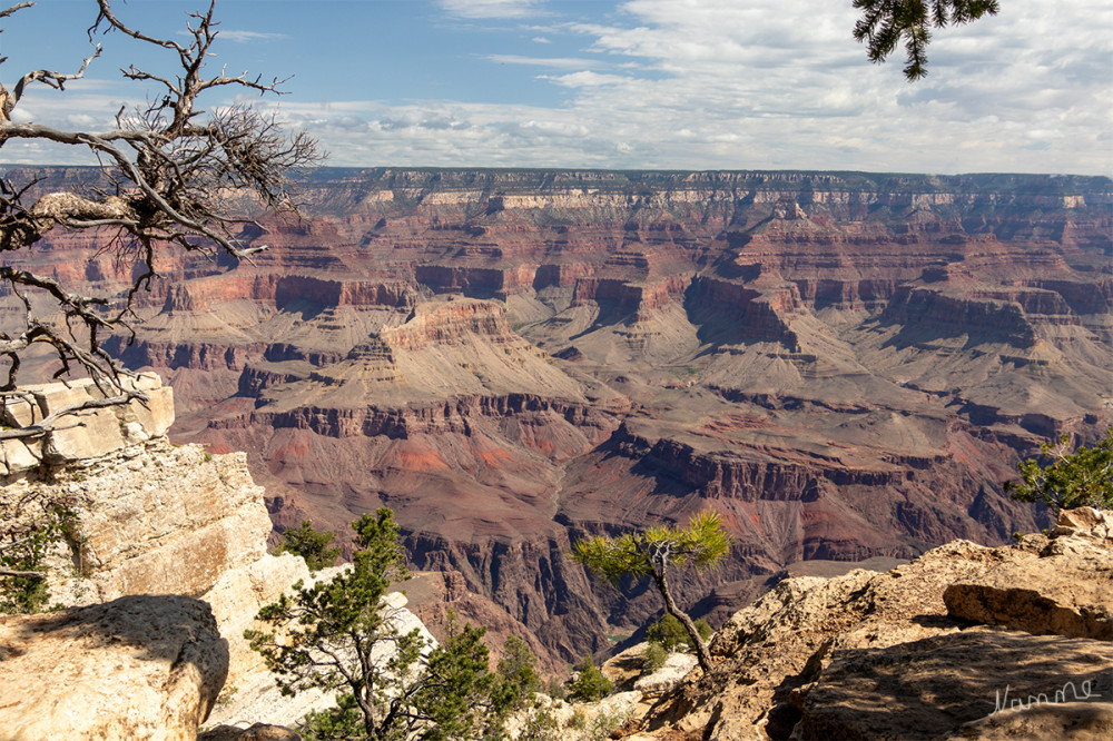 Grand Canyon NP
Arizona
Schlüsselwörter: 2025